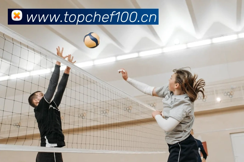 App Interface Preview